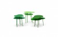 Offecct Amazonas