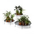 Offect Green Trays 