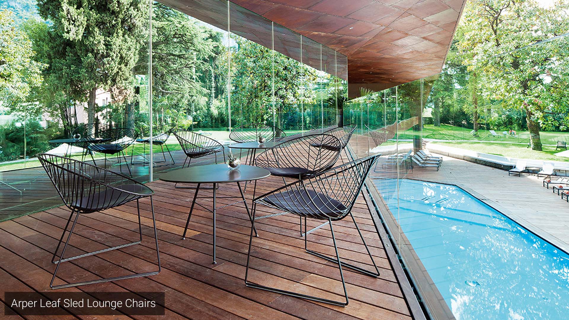 Arper Leaf Sled Lounge Chair