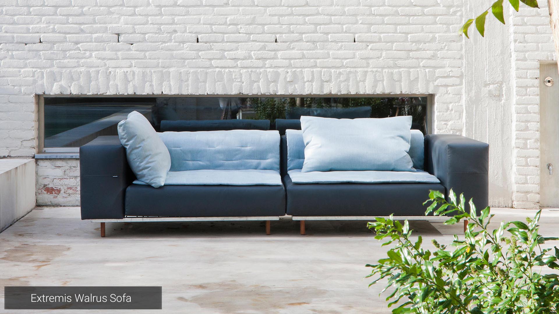 Extremis Walrus Sofa