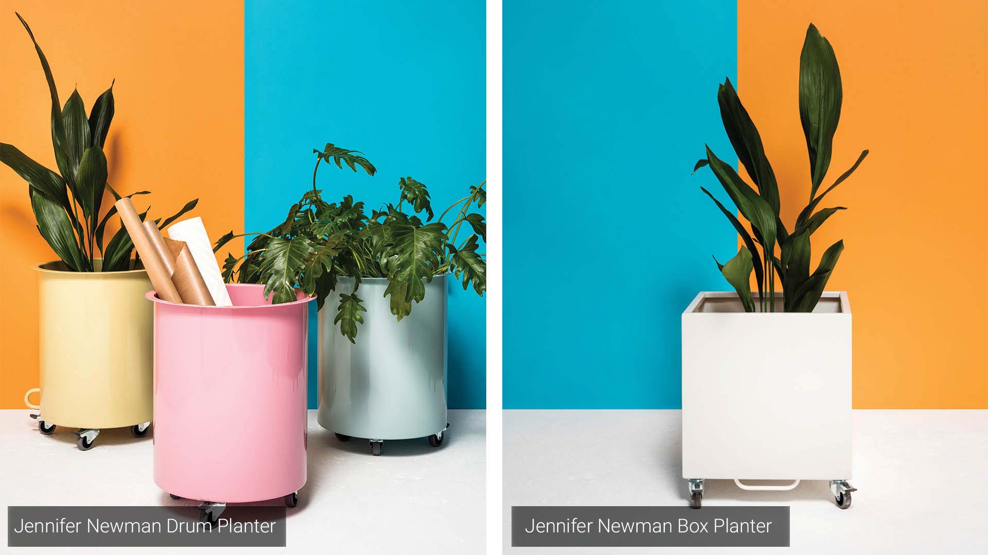 Jennifer Newman Drum & Box Planter